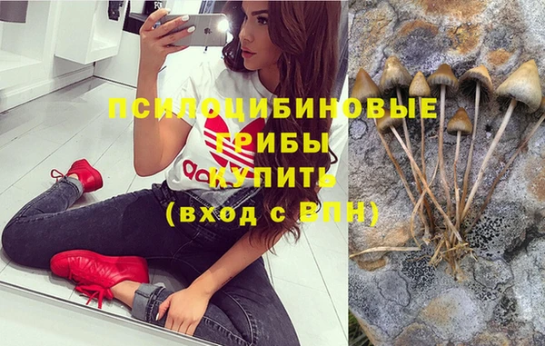 дмт Надым
